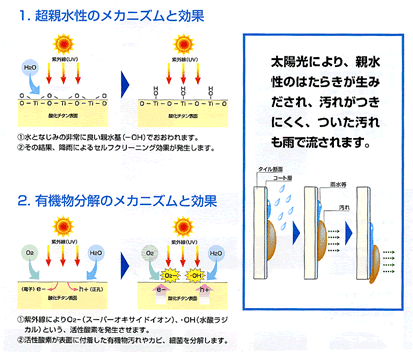 システムの特長